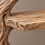 Minimalist Driftwood Tree Bookshelf With Sculpted Branch Form