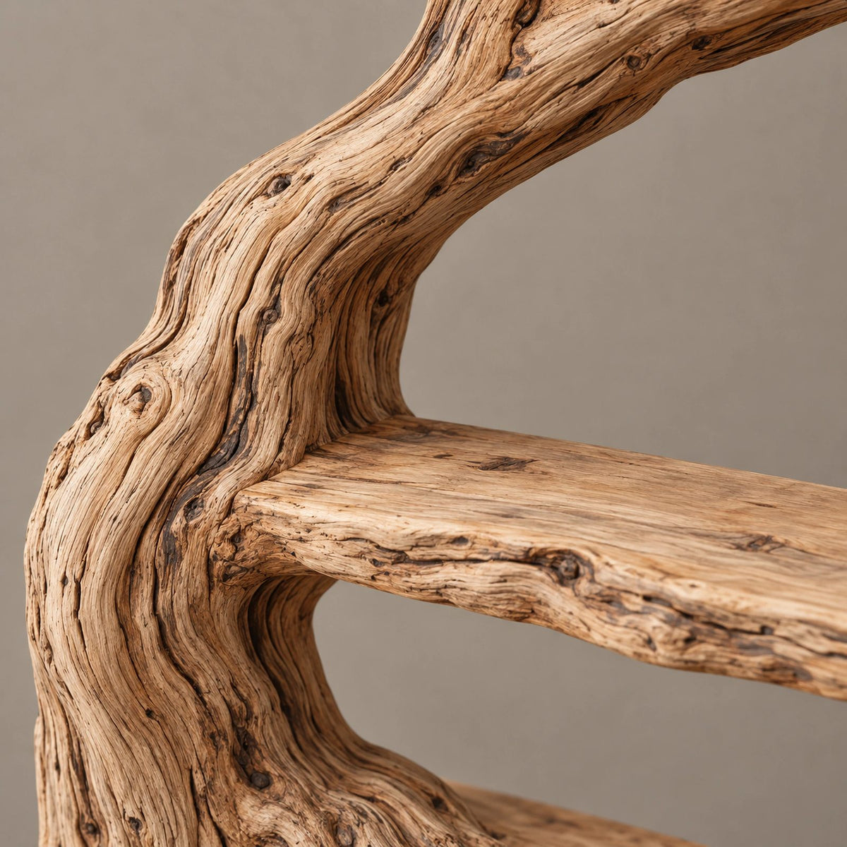 Minimalist Driftwood Tree Bookshelf With Sculpted Branch Form