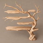 Scandinavian Tree Bookshelf With Open Branch Form For Living Room