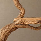 Driftwood Wall Tree Bookshelf With Curved Branch Shelves For Living Room