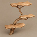 Driftwood Wall Tree Bookshelf With Curved Branch Shelves For Living Room