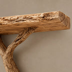 Driftwood Wall Tree Bookshelf With Curved Branch Shelves For Living Room