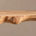 Organic Tree Bookshelf With Asymmetrical Branch Shelves For Living Room