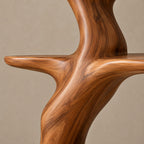 Freestanding Sculptural Wood Tree Bookshelf With Curved Display Shelves