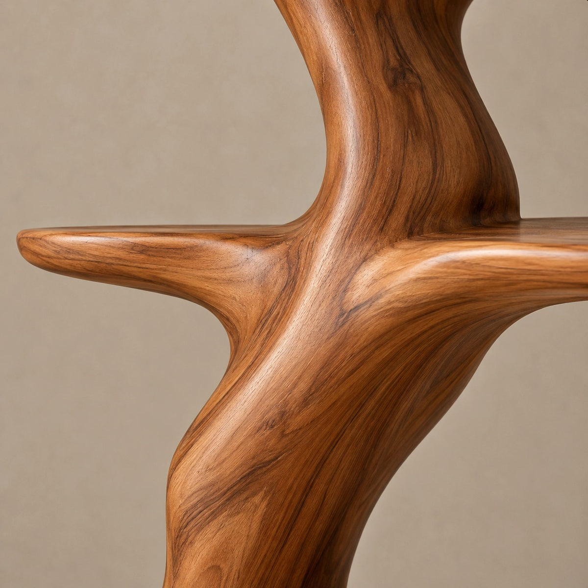 Freestanding Sculptural Wood Tree Bookshelf With Curved Display Shelves
