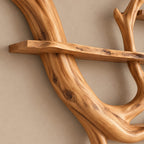 Farmhouse Wood Wall Tree Bookshelf With Sweeping Branch Display