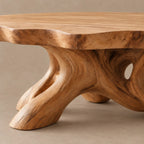 Natural Round Coffee Table With Spreading Root Base For Living Room