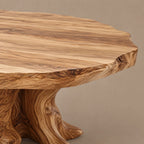 Handcrafted Oval Coffee Table With Radiating Root Base For Living Room