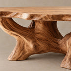 Transitional Oval Coffee Table With Quad Root Legs For Living Room