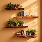 Solid Wood Live-Edge Corner Shelf Three-Tier Floating Slabs for Plant Display Nook