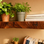 Solid Wood Live-Edge Corner Shelf Three-Tier Floating Slabs for Plant Display Nook