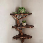 Solid Wood Wall Shelf with Sculptural Tree-Branch Live-Edge Bracket for Plants