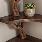 Solid Wood Wall Shelf with Sculptural Tree-Branch Live-Edge Bracket for Plants