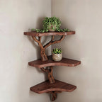 Solid Wood Wall Shelf with Sculptural Tree-Branch Live-Edge Bracket for Plants