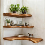Solid Wood Wall Shelf Stacked Live-Edge Floating Ledges for Plant Display