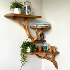 Solid Wood Corner Shelf with Sculptural Tree Live-Edge Branch Display for Plants