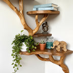 Solid Wood Corner Shelf with Sculptural Tree Live-Edge Branch Display for Plants