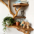 Solid Wood Corner Shelf with Sculptural Tree Live-Edge Branch Display for Plants