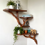 Solid Wood Corner Shelf with Sculptural Tree Live-Edge Branch Display for Plants
