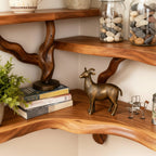 Solid Wood Wall Shelf with Sculptural Tree-Branch Live-Edge Base for Plants
