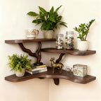 Solid Wood Wall Shelf with Sculptural Tree-Branch Live-Edge Base for Plants