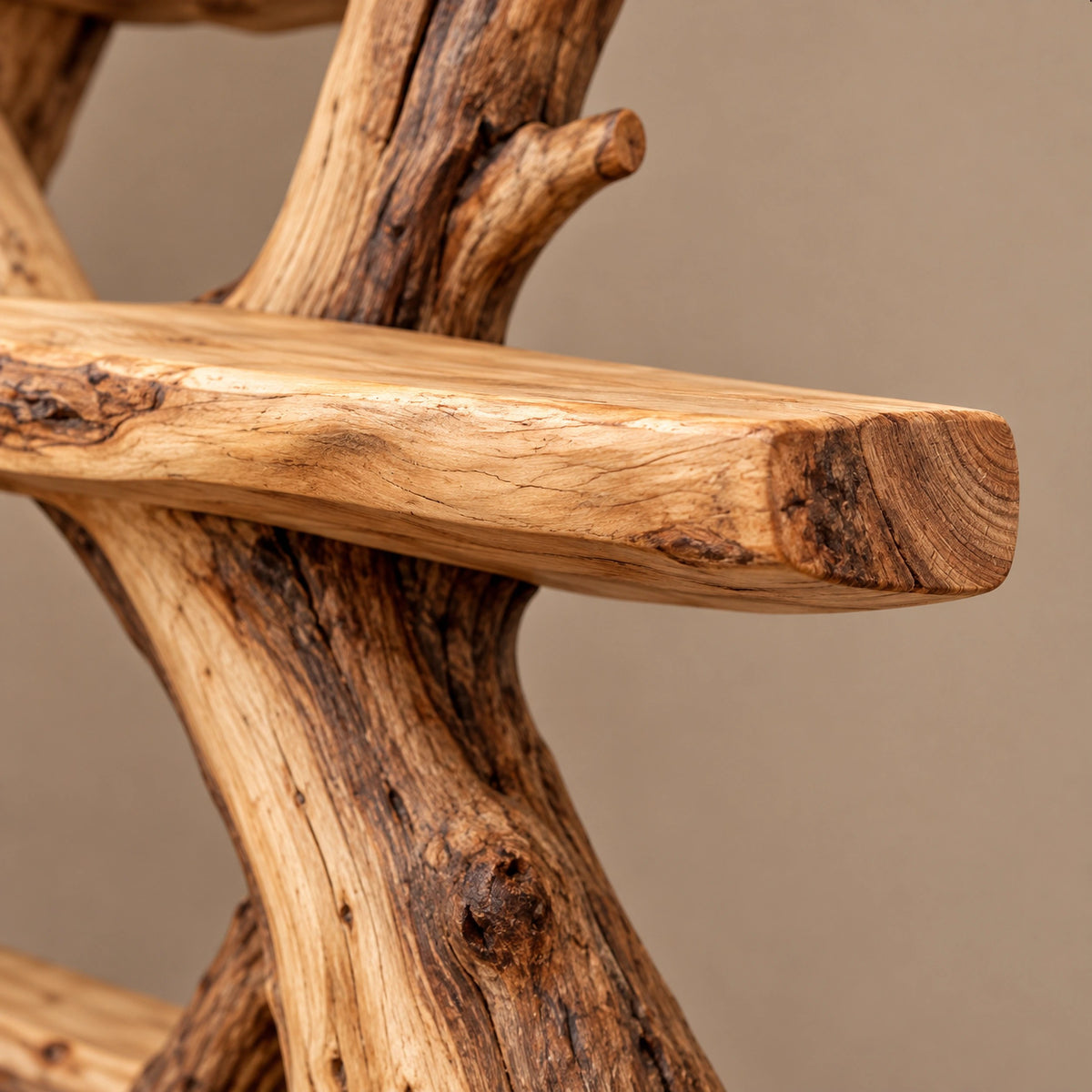 Rustic Tree Bookshelf Packed With Branch Shelves For Living Room