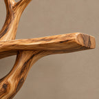 Sculptural Wall Tree Bookshelf With Flowing Twisted Trunk For Living Room