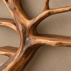 Sculptural Wall Tree Bookshelf With Flowing Twisted Trunk For Living Room
