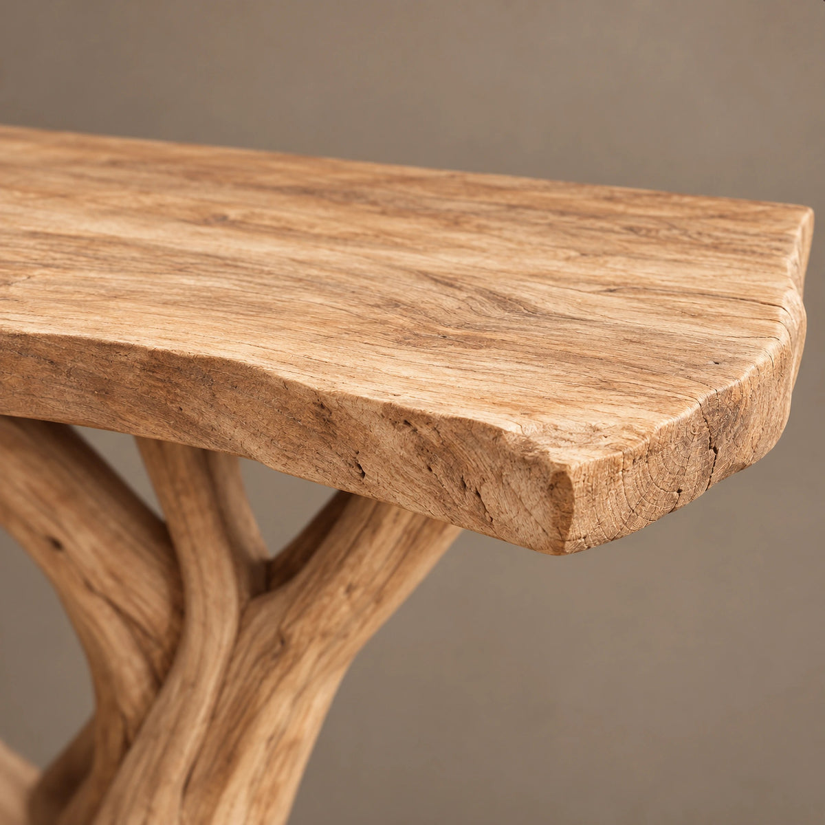Rustic Tree Trunk Console Table With Branching Base For Living Room